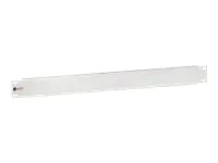 Equip Blindabdeckung - RAL 7035 - 1U - 48.3 cm (19") 327504