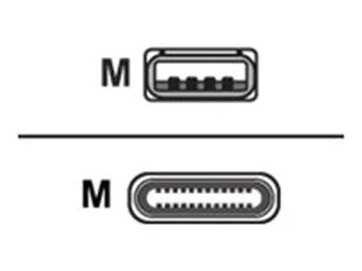 Zebra - USB-Kabel - USB (M) bis USB-C (M)