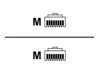 Helos Patch-Kabel - RJ-45 (M) zu RJ-45 (M) 333099