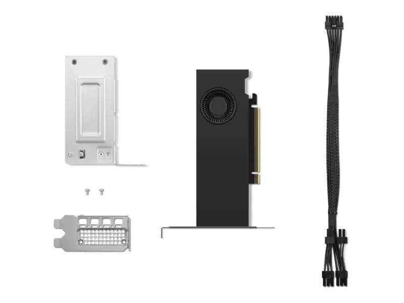 Lenovo NVIDIA RTX - Grafikkarte - NVIDIA RTX 2000 Ada 4X61P69962
