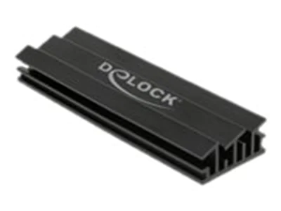 Delock Solid State Drive Kühlkörper - Schwarz 18283
