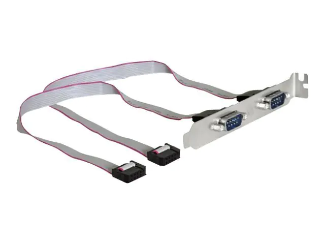 Delock Slotbracket > 2x serial - Serielles Bedienfeld - 9-poliger serieller Kopf (W) zu DB-9 (M) - 27 cm
