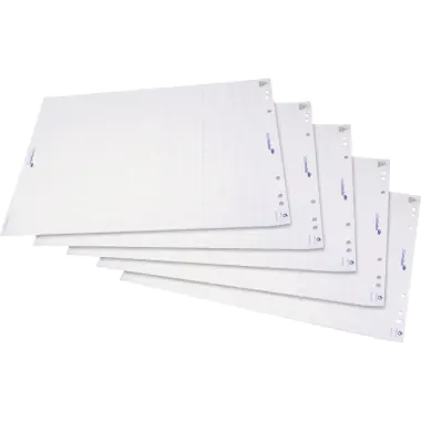Legamaster Flipchartpapier 7-156500 98x65cm 20Bl. kariert 5 St./Pack. Legamaster Flipchartpapier 7-156500 98x65cm 20Bl. kariert 5 St./Pack.