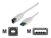 VALUE - USB-Kabel - USB (M) zu USB Typ B (M) - USB 3.0 - 3 m - weiß VALUE - USB-Kabel - USB (M) zu USB Typ B (M) - USB 3.0 - 3 m - weiß